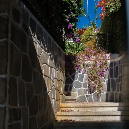 Guestready - Sunny Retreat * Funchal